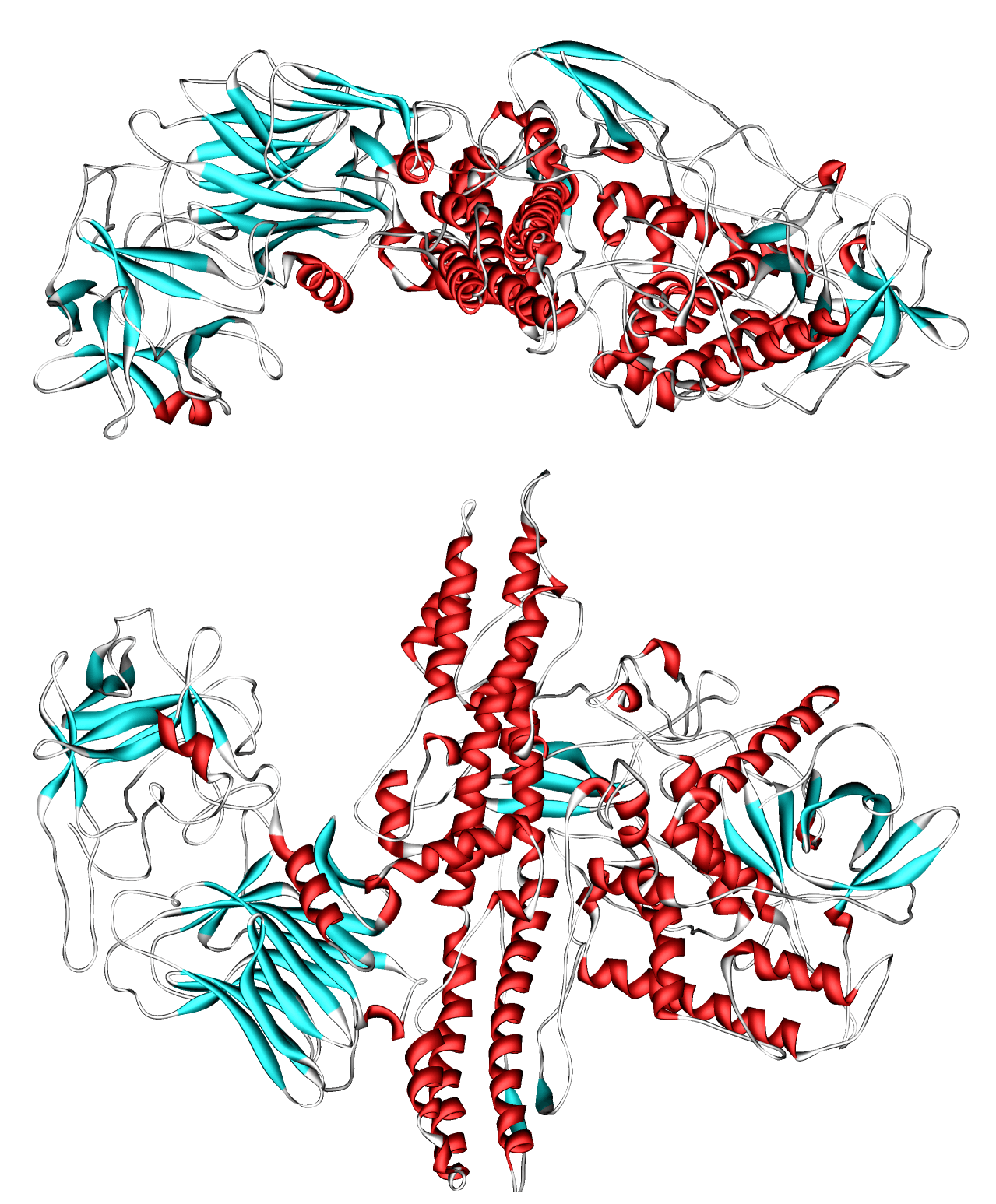 Structure 3D de la toxine botulique, principe actif du Botox