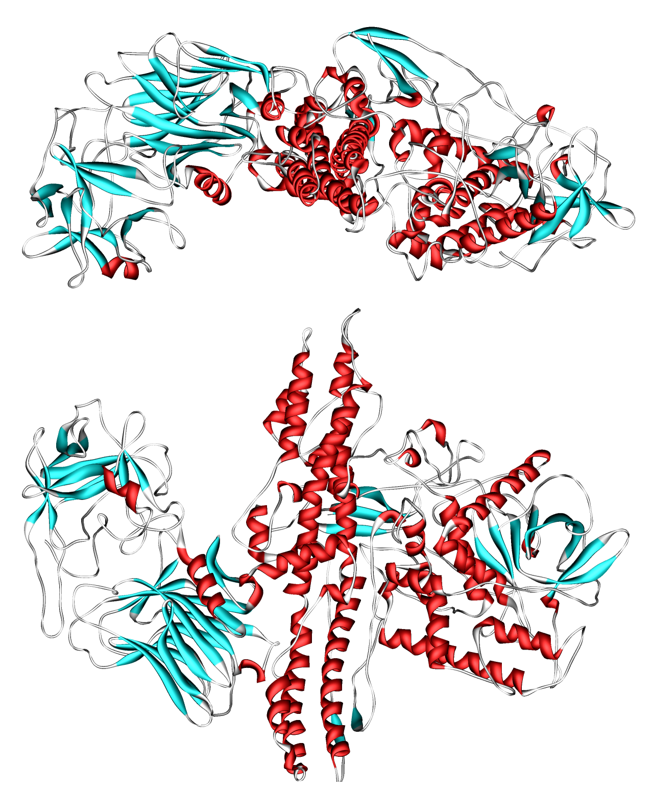 Structure 3D de la toxine botulique, principe actif du Botox